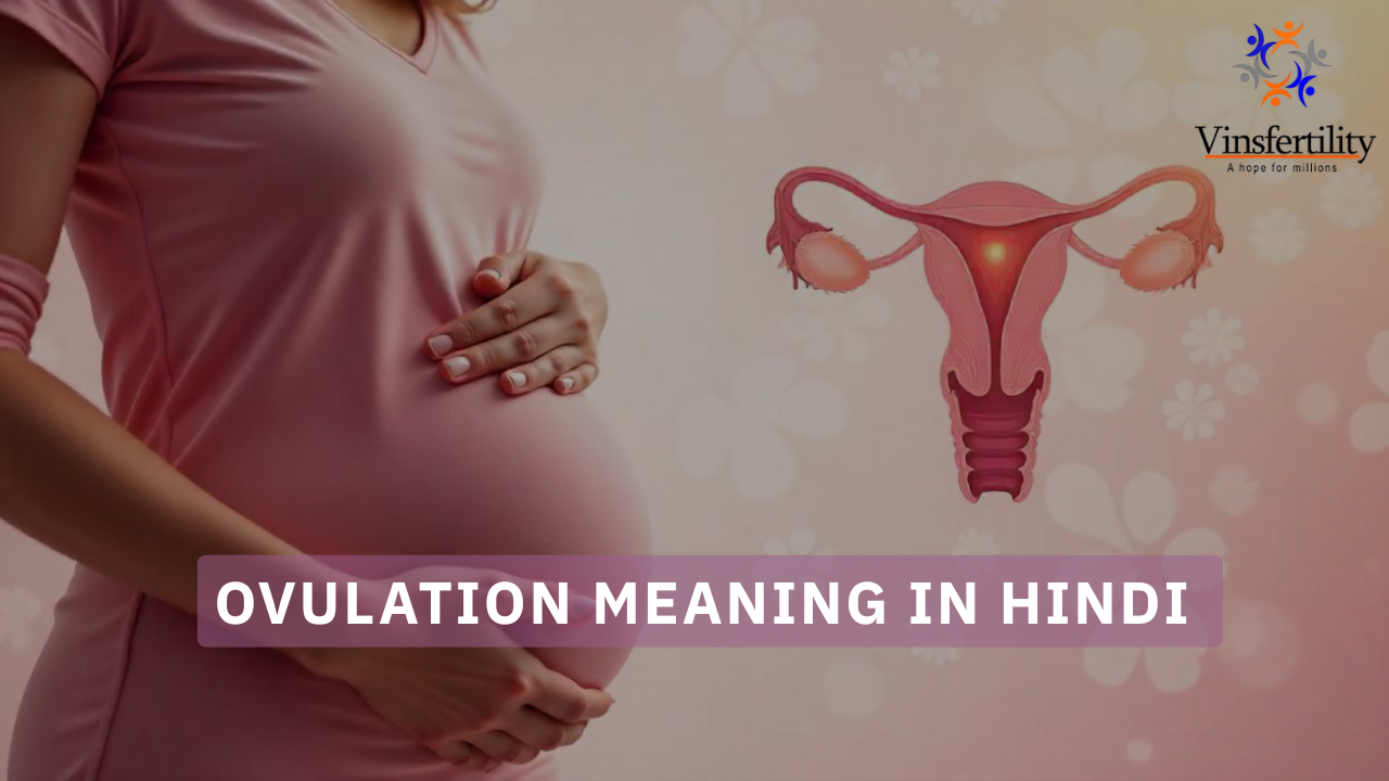 Ovulation Meaning in Hindi (ओव्यूलेशन का मतलब क्या होता है?)